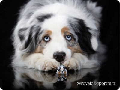 Vlastní pejsek na klíče